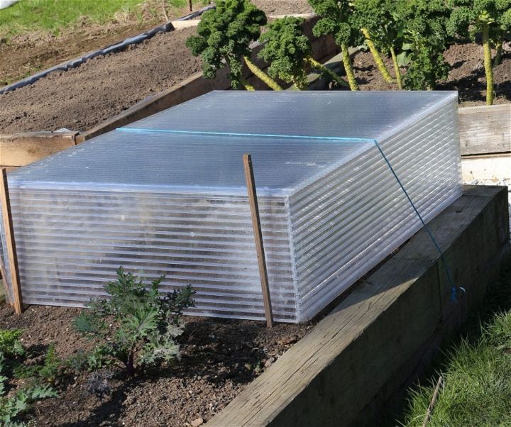 Build a Cold Frame for Seedlings