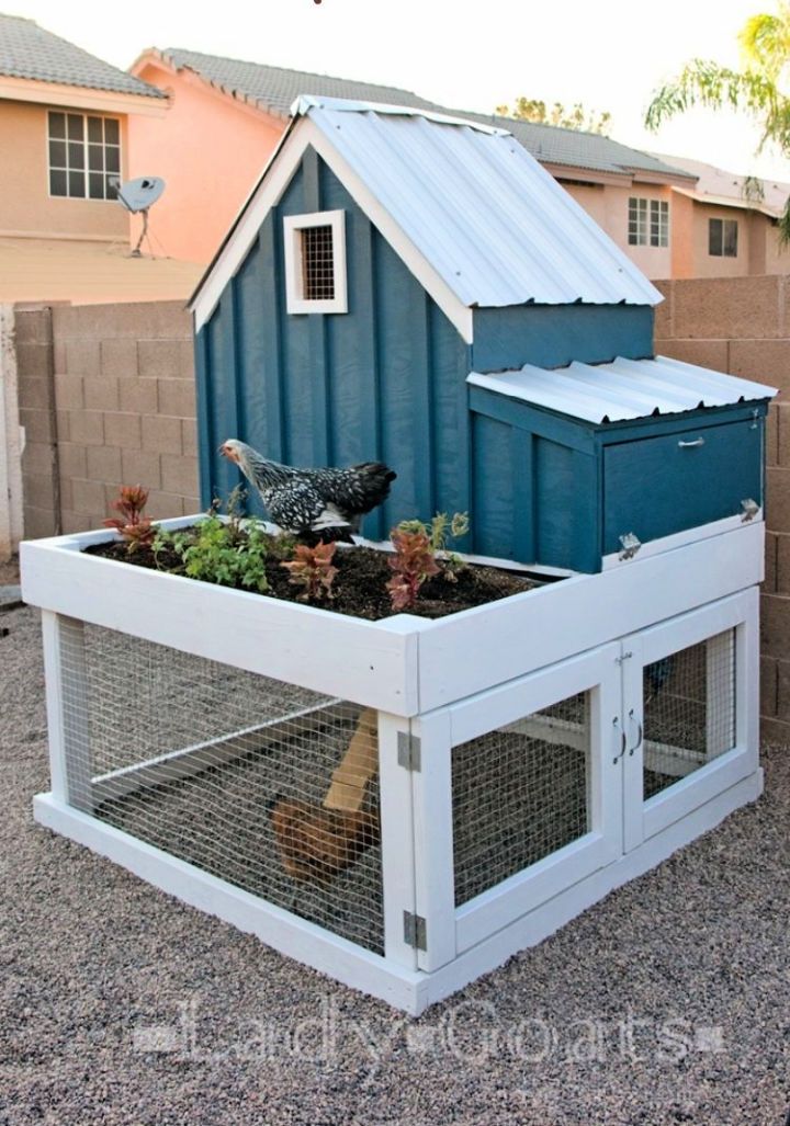 DIY Small Chicken Coop With Planter