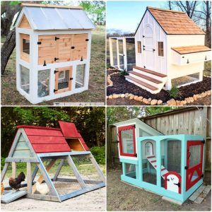 25 free DIY chicken coop plans with pdf instructions