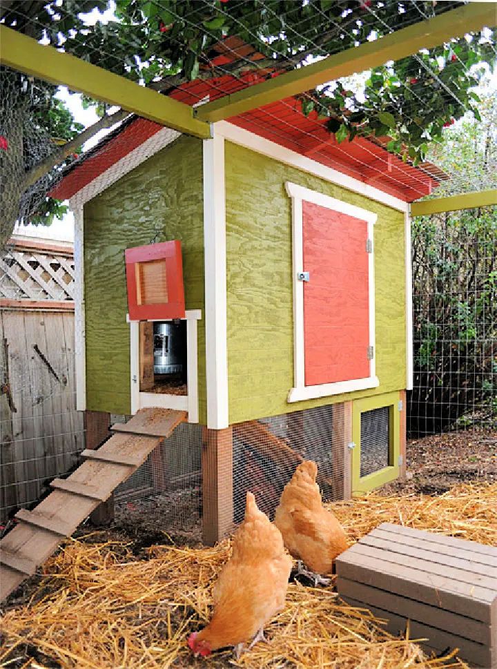 Handmade Urban Chicken Coop