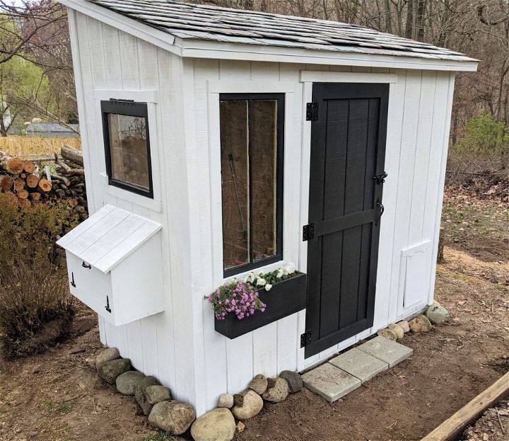 Homemade Shed Chicken Coop