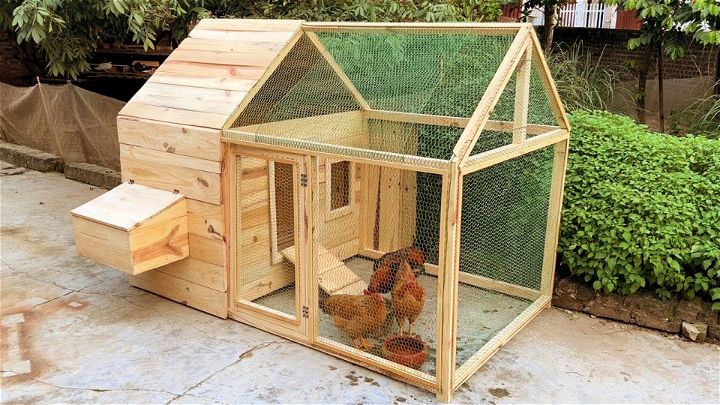 How to Build Chicken Coop