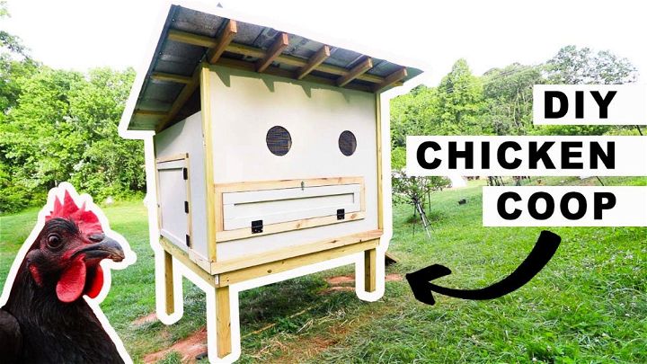 How to Do Coop for Chickens