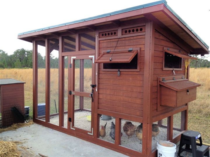 Making a Chicken Coop at Home