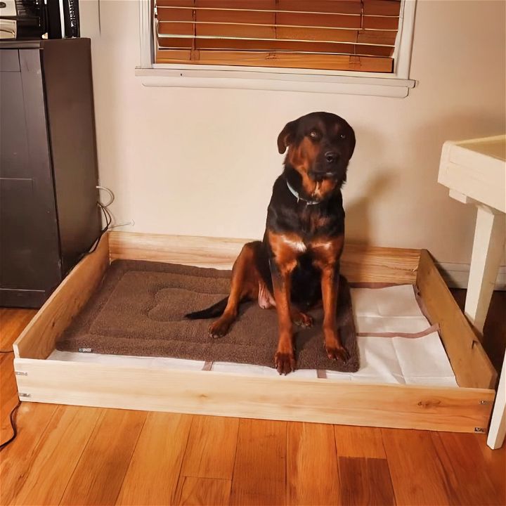 DIY whelping box for large dogs